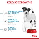 ROYAL CANIN Mini Starter Mother & Babydog 8kg ROYAL CANIN Mini Starter Mother & Babydog 8kg