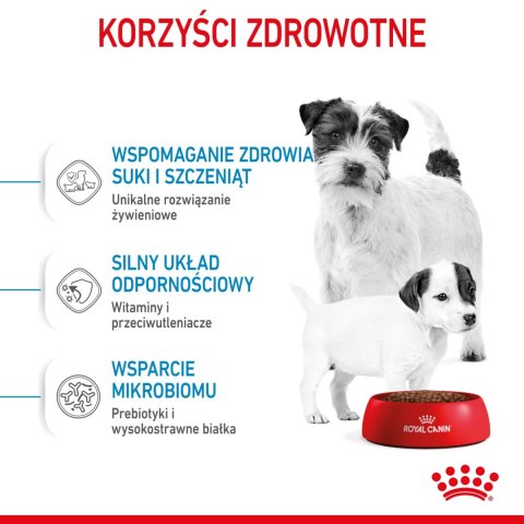 ROYAL CANIN Mini Starter Mother & Babydog 8kg ROYAL CANIN Mini Starter Mother & Babydog 8kg