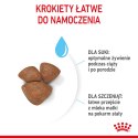 ROYAL CANIN Mini Starter Mother & Babydog 8kg ROYAL CANIN Mini Starter Mother & Babydog 8kg