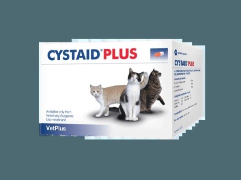 VETPLUS LIMITED Cystaid Plus Kot Wsparcie Układu Moczowego 30tab VETPLUS LIMITED Cystaid Plus Kot Wsparcie Układu Moczowego 30tab