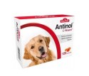 BIOVICO ANTINOL SIZAROL PIES 120 tabletek NA STAWY BIOVICO ANTINOL SIZAROL PIES 120 tabletek NA STAWY