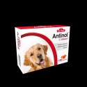 BIOVICO ANTINOL SIZAROL PIES 120 tabletek NA STAWY BIOVICO ANTINOL SIZAROL PIES 120 tabletek NA STAWY