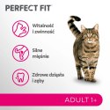 Perfect Fit™ - sucha karma pełnoporcjowa dla dorosłych kotów, bogata w wołowinę 7kg Perfect Fit™ - sucha karma pełnoporcjowa dla dorosłych kotów, bogata w wołowinę 7kg