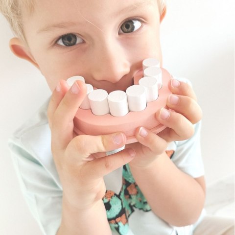 TOOKY TOY Zestaw Małego Dentysty Walizka Lekarza 19 el. FSC TOOKY TOY Zestaw Małego Dentysty Walizka Lekarza 19 el. FSC