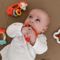 WOOPIE BABY Zestaw Gryzaków Grzechotek Sensorycznych WOOPIE BABY Zestaw Gryzaków Grzechotek Sensorycznych