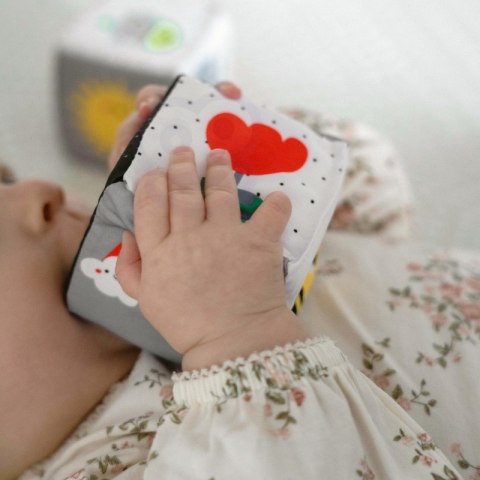 TOOKY TOY Box Pudełko XXL Montessori Edukacyjne 6w1 Sensoryczne 3-4 Mies TOOKY TOY Box Pudełko XXL Montessori Edukacyjne 6w1 Sensoryczne 3-4 Mies
