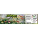 WOOPIE Zestaw Figurki Dinozaury 18 szt. - wersja 1 WOOPIE Zestaw Figurki Dinozaury 18 szt. - wersja 1