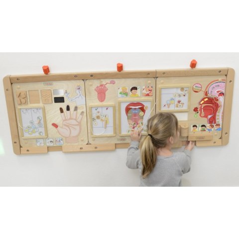 MASTERKIDZ Tablica Edukacyjna Zmysł Smaku Montessori MASTERKIDZ Tablica Edukacyjna Zmysł Smaku Montessori