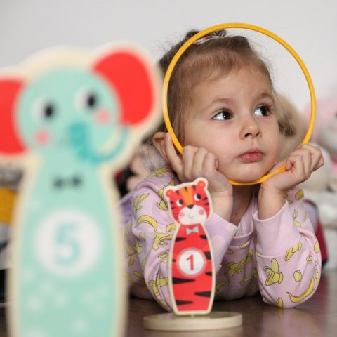 TOOKY TOY Drewniana Gra Zręcznościowa Rzut do Celu Zwierzątka 15 el. TOOKY TOY Drewniana Gra Zręcznościowa Rzut do Celu Zwierzątka 15 el.