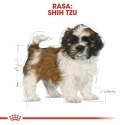 ROYAL CANIN Shih Tzu Puppy 500g ROYAL CANIN Shih Tzu Puppy 500g