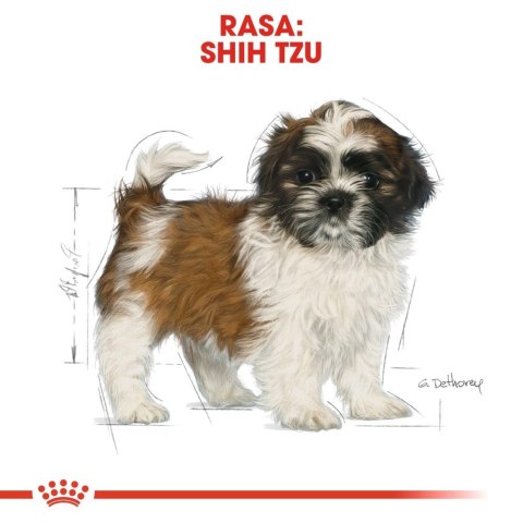 ROYAL CANIN Shih Tzu Puppy 500g ROYAL CANIN Shih Tzu Puppy 500g