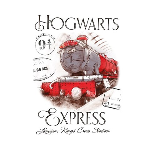 Ręcznik przedszkolny dla dziecka 30x50 Harry Potter Express Ręcznik przedszkolny dla dziecka 30x50 Harry Potter Express