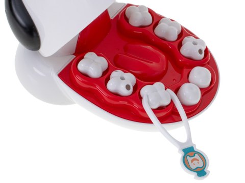 Pies piesek u dentysty chory ząbek wylecz zęba Pies piesek u dentysty chory ząbek wylecz zęba