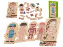 Puzzle drewniane warstwowe budowa ciała montessori chłopiec Puzzle drewniane warstwowe budowa ciała montessori chłopiec