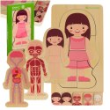 Puzzle drewniane warstwowe budowa ciała montessori dziewczynka Puzzle drewniane warstwowe budowa ciała montessori dziewczynka