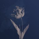 Fototapeta Okrągła Ciemne Rośliny Botaniczne I Fototapeta Okrągła Ciemne Rośliny Botaniczne I