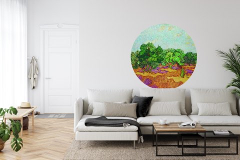 Fototapeta Okrągła Drzewa Oliwne Fototapeta Okrągła Drzewa Oliwne