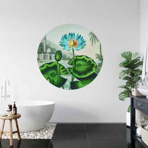 Fototapeta Okrągła Lotos Azul Fototapeta Okrągła Lotos Azul