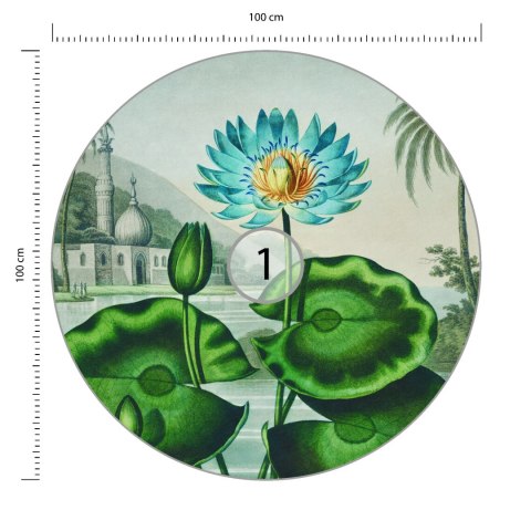 Fototapeta Okrągła Lotos Azul Fototapeta Okrągła Lotos Azul