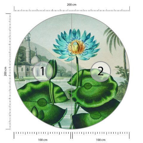 Fototapeta Okrągła Lotos Azul Fototapeta Okrągła Lotos Azul