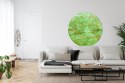 Fototapeta Okrągła Mappa Mundi Wschód Fototapeta Okrągła Mappa Mundi Wschód