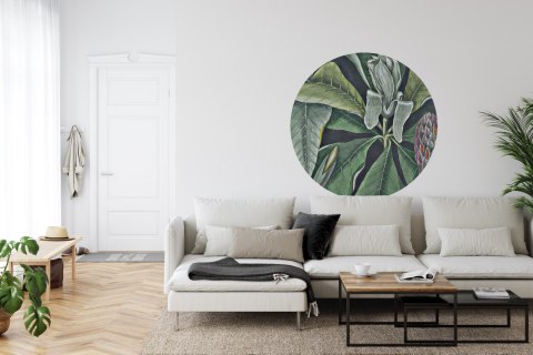 Fototapeta Okrągła Rycina Botaniczna W Stylu Vintage Vi Fototapeta Okrągła Rycina Botaniczna W Stylu Vintage Vi