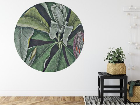 Fototapeta Okrągła Rycina Botaniczna W Stylu Vintage Vi Fototapeta Okrągła Rycina Botaniczna W Stylu Vintage Vi