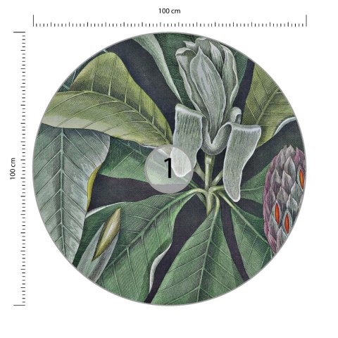 Fototapeta Okrągła Rycina Botaniczna W Stylu Vintage Vi Fototapeta Okrągła Rycina Botaniczna W Stylu Vintage Vi