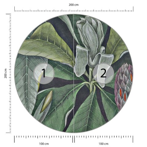 Fototapeta Okrągła Rycina Botaniczna W Stylu Vintage Vi Fototapeta Okrągła Rycina Botaniczna W Stylu Vintage Vi