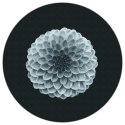 Fototapeta Okrągła Symetria Fototapeta Okrągła Symetria
