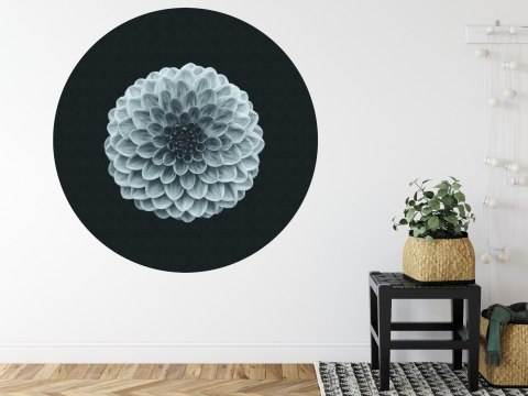 Fototapeta Okrągła Symetria Fototapeta Okrągła Symetria
