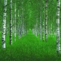 Fototapeta Okrągła Tunel Autorstwa Christiana Lindstena Fototapeta Okrągła Tunel Autorstwa Christiana Lindstena
