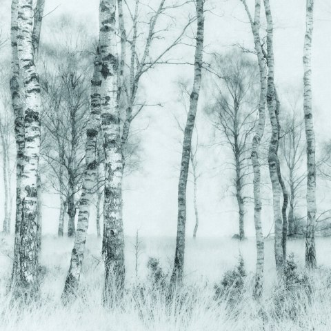 Fototapeta Okrągła Czarno-Biały Nel Talen Fototapeta Okrągła Czarno-Biały Nel Talen