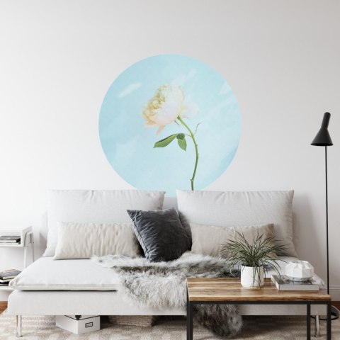Fototapeta Okrągła Pastelowa Róża Fototapeta Okrągła Pastelowa Róża