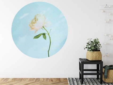 Fototapeta Okrągła Pastelowa Róża Fototapeta Okrągła Pastelowa Róża