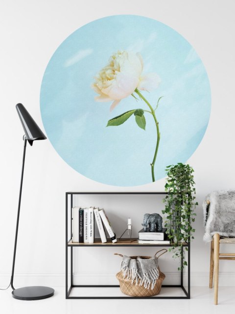 Fototapeta Okrągła Pastelowa Róża Fototapeta Okrągła Pastelowa Róża