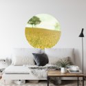 Fototapeta Okrągła Późne Popołudnie Na Łące Fototapeta Okrągła Późne Popołudnie Na Łące