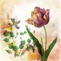 Fototapeta Okrągła Rycina Botaniczna W Stylu Vintage I Fototapeta Okrągła Rycina Botaniczna W Stylu Vintage I