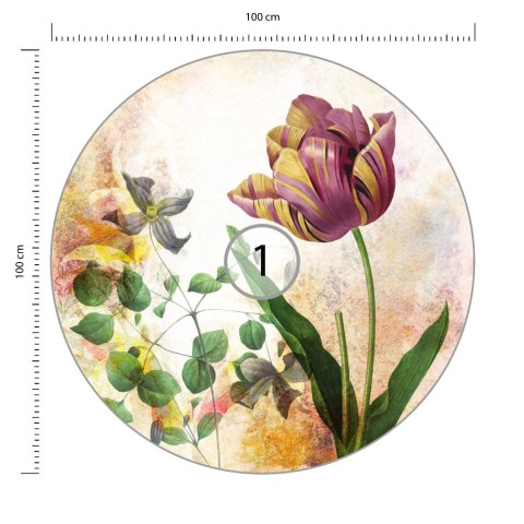 Fototapeta Okrągła Rycina Botaniczna W Stylu Vintage I Fototapeta Okrągła Rycina Botaniczna W Stylu Vintage I