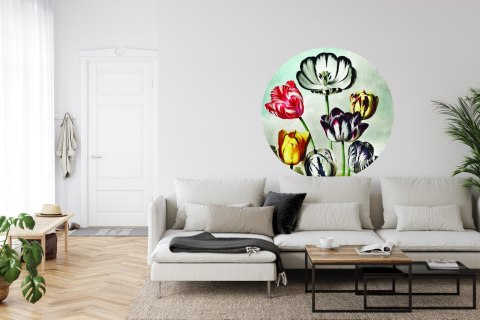 Fototapeta Okrągła Tulipany Fototapeta Okrągła Tulipany