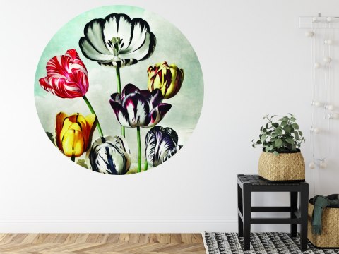 Fototapeta Okrągła Tulipany Fototapeta Okrągła Tulipany