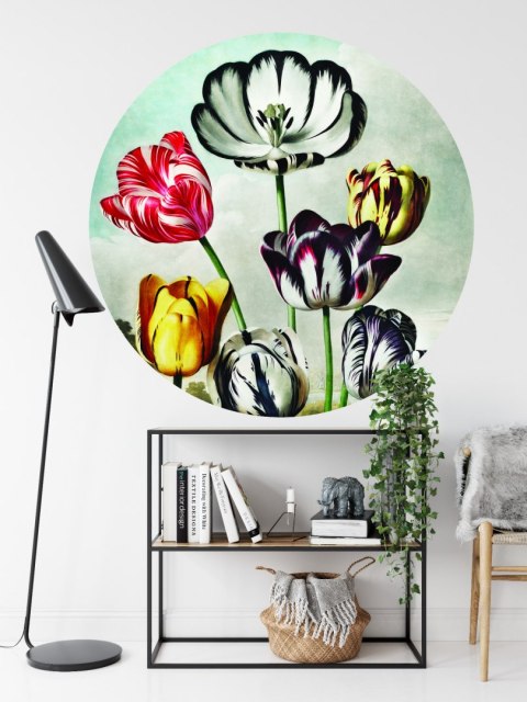 Fototapeta Okrągła Tulipany Fototapeta Okrągła Tulipany