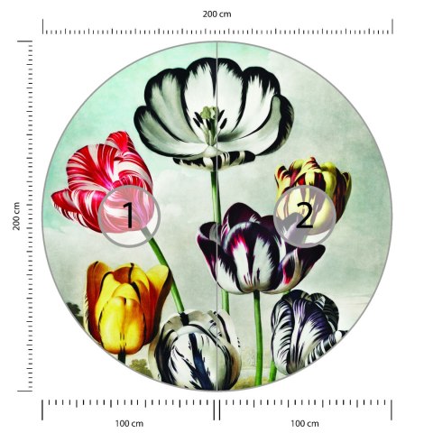 Fototapeta Okrągła Tulipany Fototapeta Okrągła Tulipany