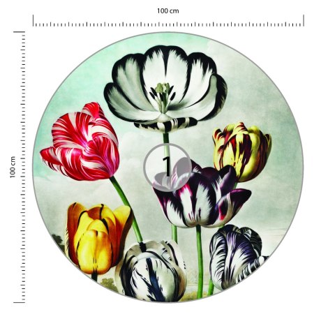 Fototapeta Okrągła Tulipany Fototapeta Okrągła Tulipany