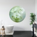 Fototapeta Okrągła Urok Kosmosu Autorstwa Mandy Disher Fototapeta Okrągła Urok Kosmosu Autorstwa Mandy Disher