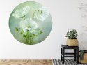 Fototapeta Okrągła Urok Kosmosu Autorstwa Mandy Disher Fototapeta Okrągła Urok Kosmosu Autorstwa Mandy Disher
