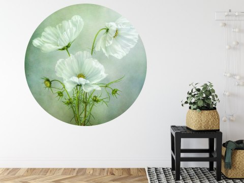 Fototapeta Okrągła Urok Kosmosu Autorstwa Mandy Disher Fototapeta Okrągła Urok Kosmosu Autorstwa Mandy Disher