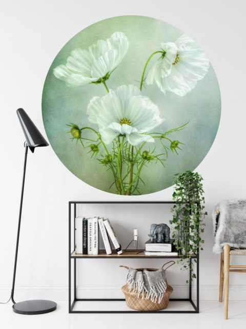 Fototapeta Okrągła Urok Kosmosu Autorstwa Mandy Disher Fototapeta Okrągła Urok Kosmosu Autorstwa Mandy Disher
