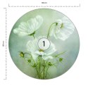 Fototapeta Okrągła Urok Kosmosu Autorstwa Mandy Disher Fototapeta Okrągła Urok Kosmosu Autorstwa Mandy Disher