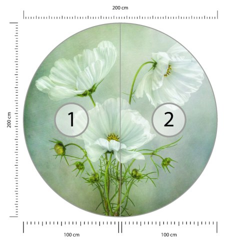 Fototapeta Okrągła Urok Kosmosu Autorstwa Mandy Disher Fototapeta Okrągła Urok Kosmosu Autorstwa Mandy Disher